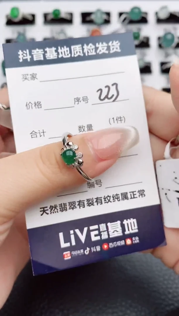 【闪购商品】翡翠颈饰银S925镶嵌223