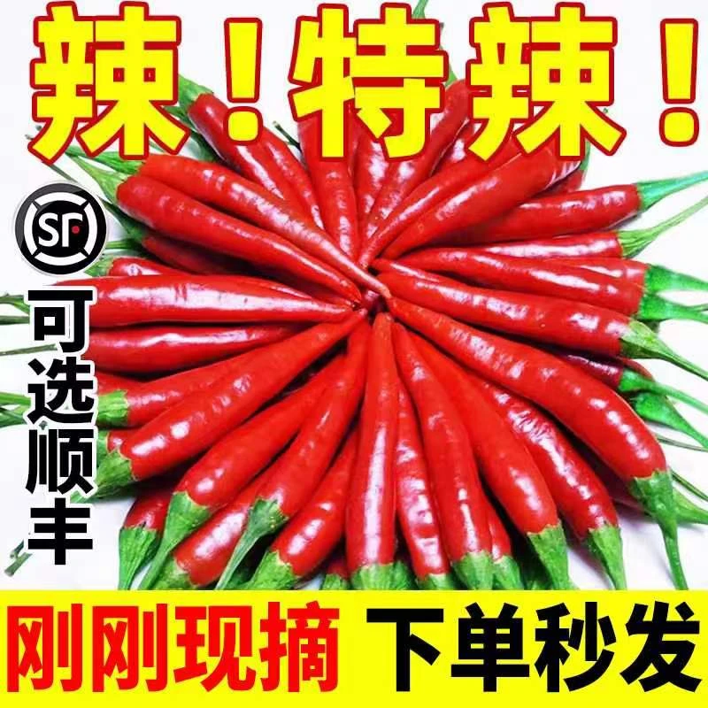 云南农家种植新鲜小米椒绿色朝天红超辣指天椒特辣现摘蔬菜辣味