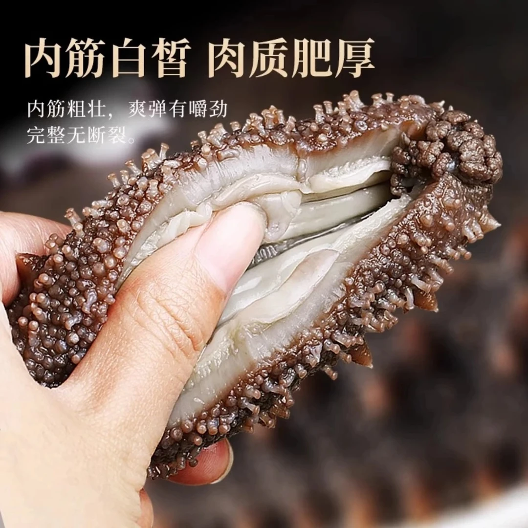 【体验装】野生鲜食海参5只/大连长海辽刺参无水发即食【天花板吃法】