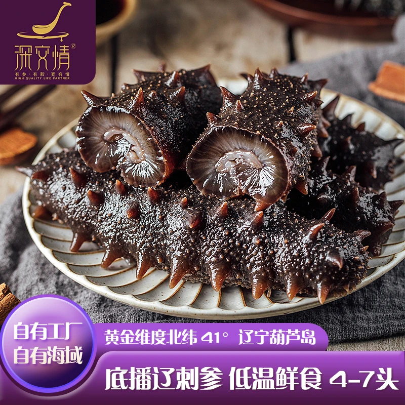 深交情辽参低温鲜食9A海参参王（4-7只/斤）高品质口感劲道脆弹