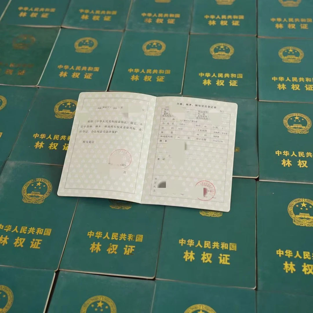 拉佤布傣来丰华茶厂直播间，让大家喝到好茶