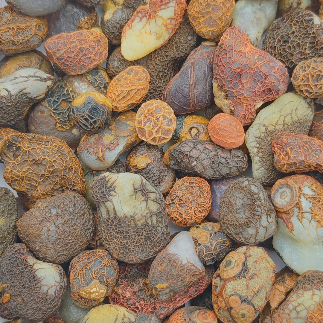 纯天然戈壁象形石，专拍链接