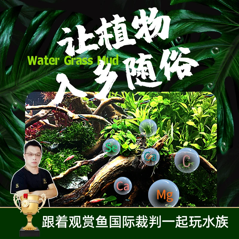 水草泥鱼缸造景专用水草种子微景观观赏水培绿植鱼虾水草自循环