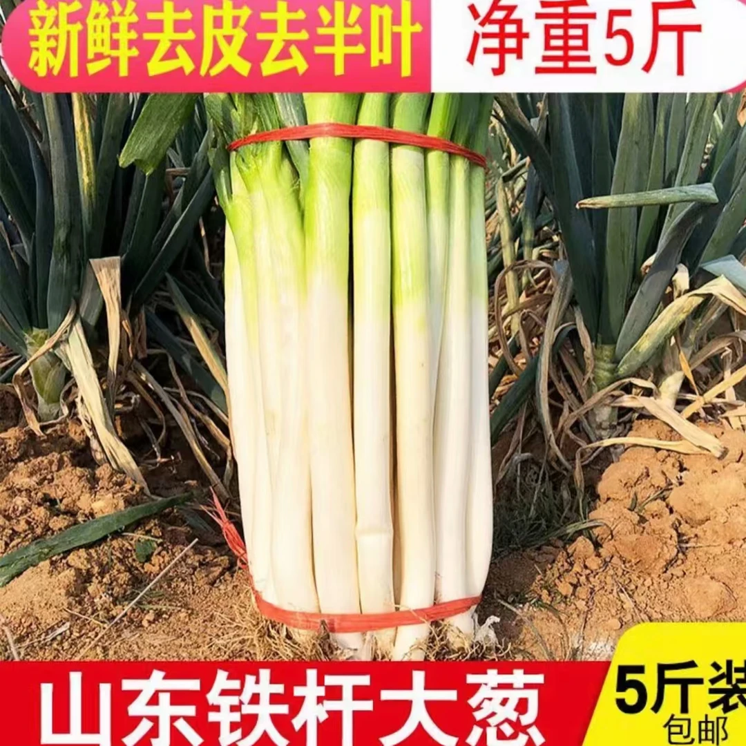 山东铁杆大葱5斤9斤毛葱净葱去三分之一叶子