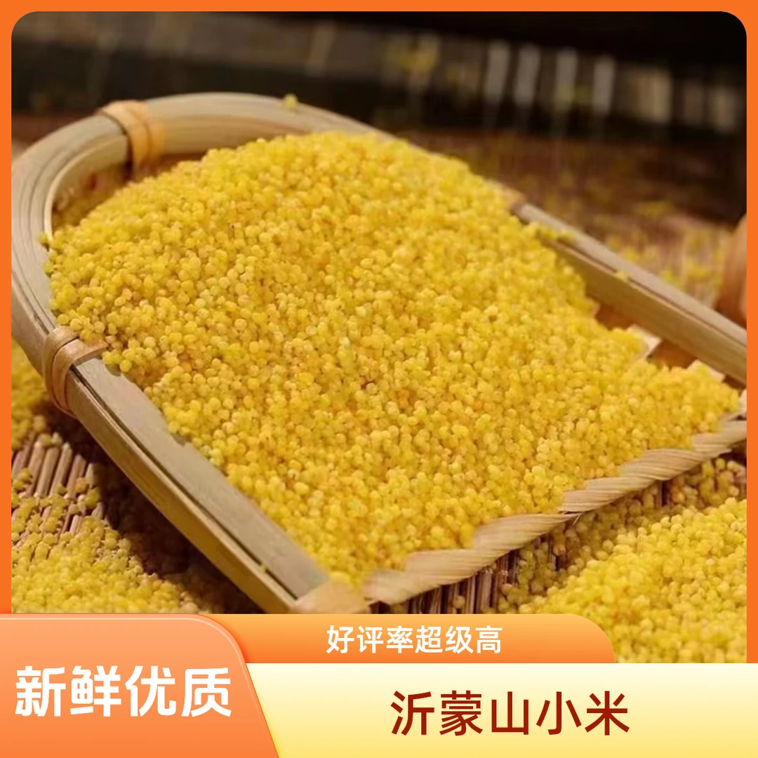 【桃中源】沂蒙山 当季新鲜小米 优质小米 净重5斤
