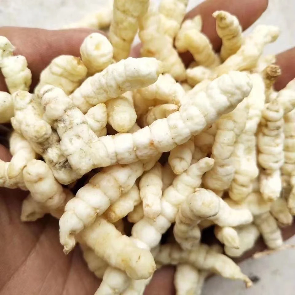 白虫龙果南北干货土特产