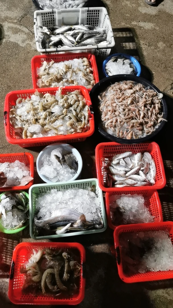 神泉港 现场代买