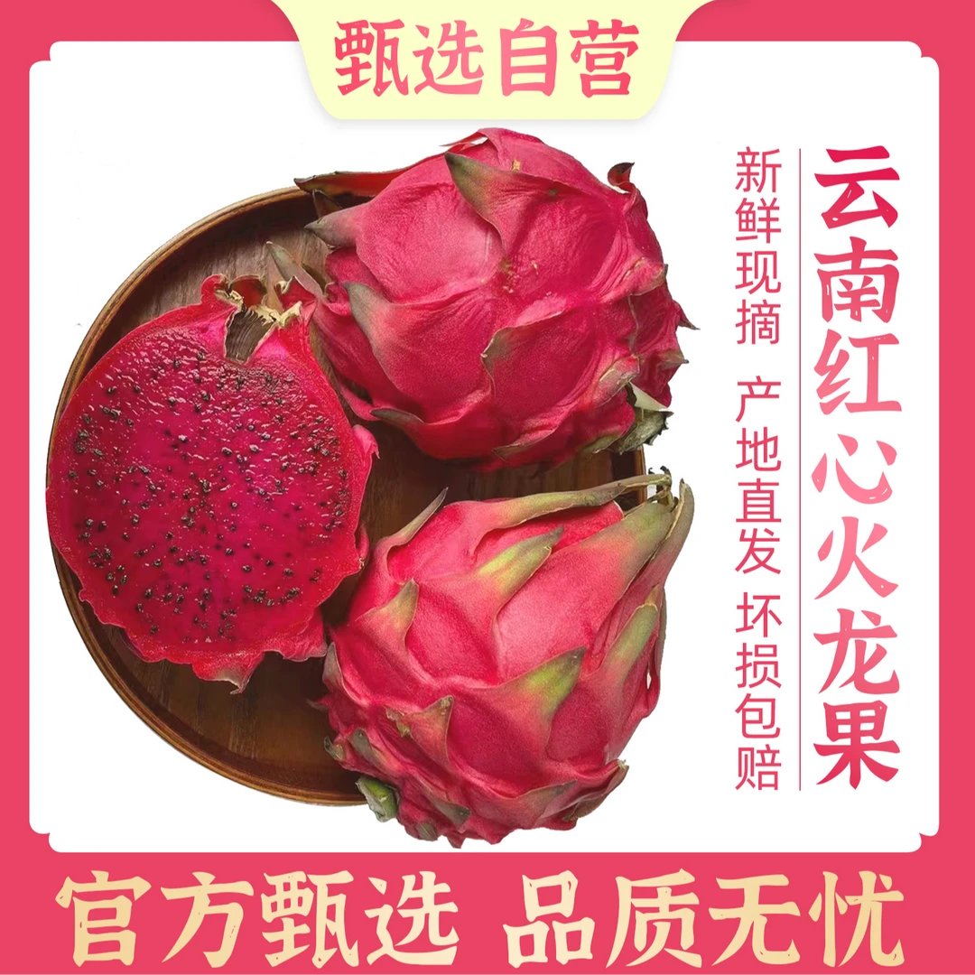 臻选自营｜5斤精选正宗云南金都一号红心火龙果新鲜采摘果园直发