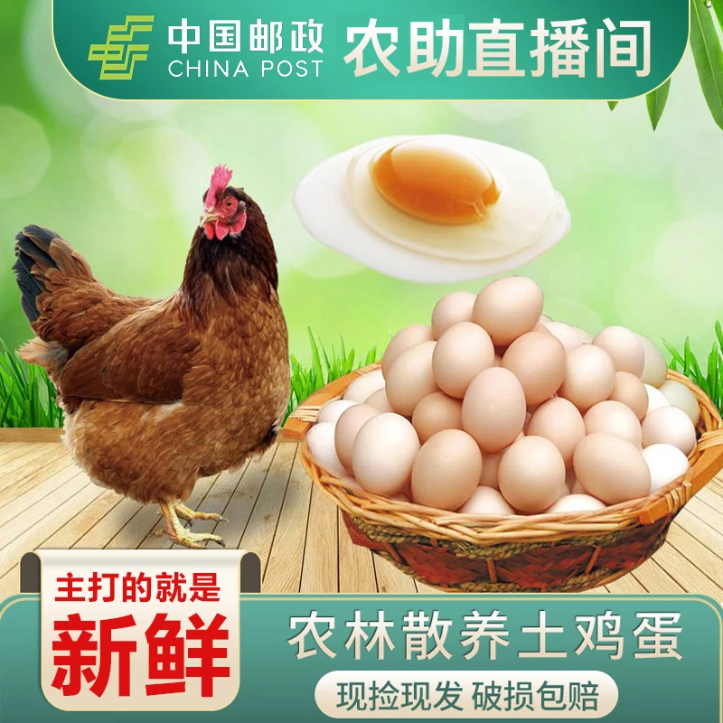 邮政甄选︱Чʘ稞正宗农家果园散养新鲜土鸡蛋46g孕婴谷物蛋