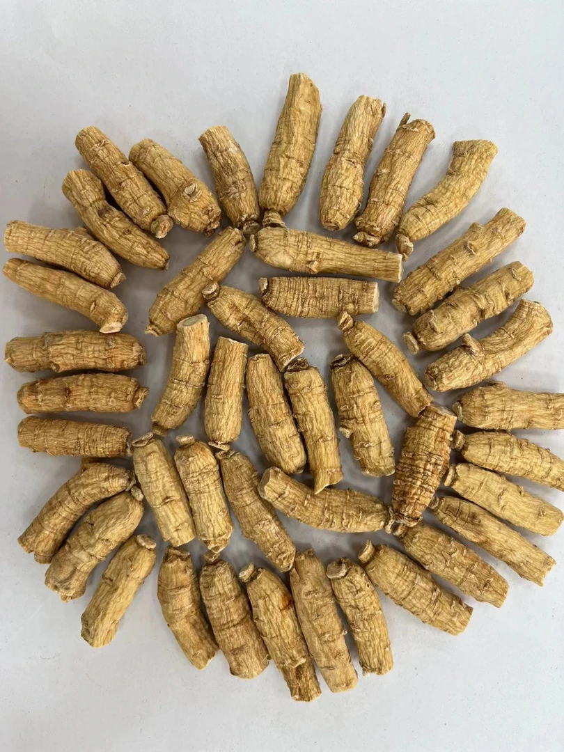 【加拿大西洋参】1.5克左右一根纯软质西洋参 可切片打粉食用
