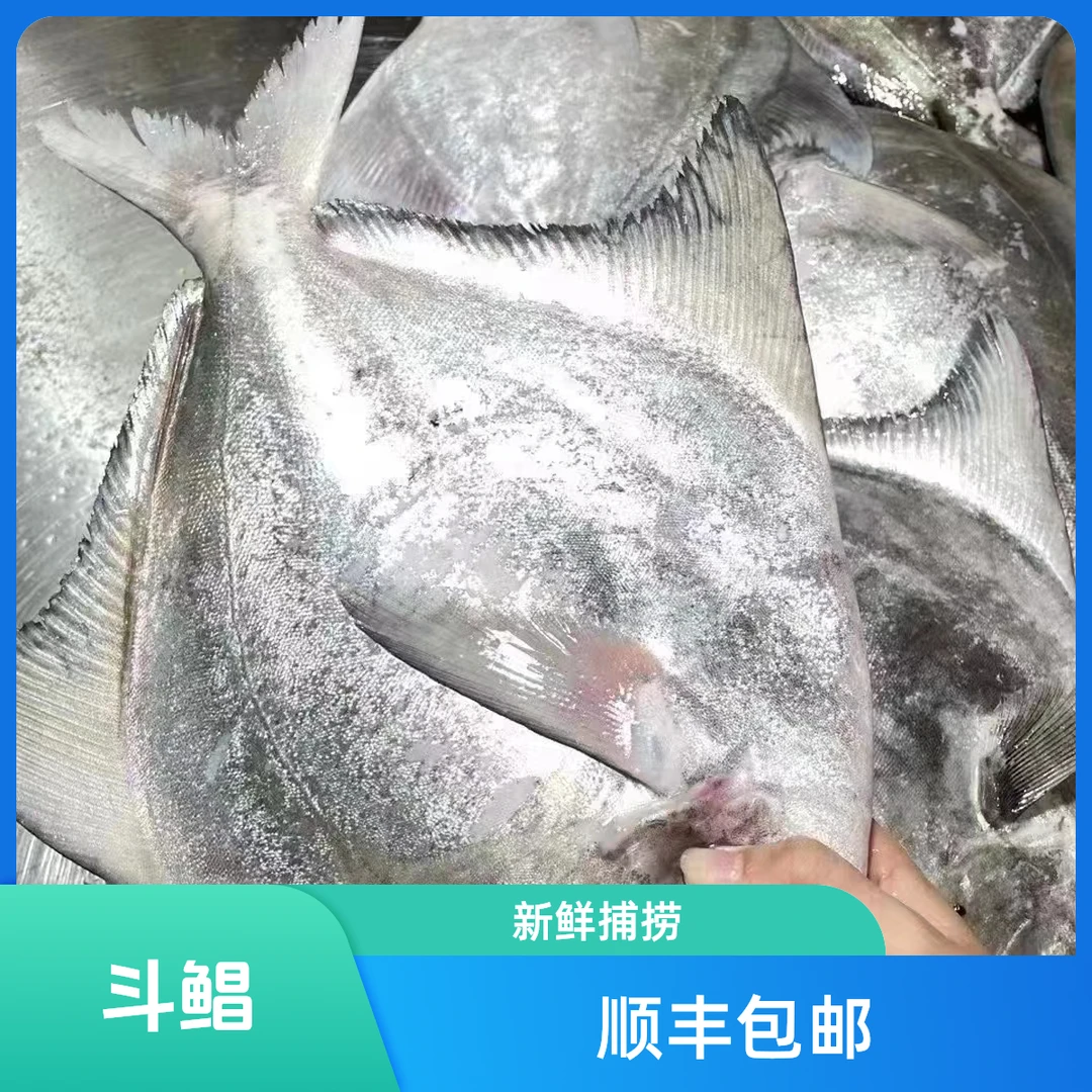 湛江野生大斗鲳 中华鲳 直播间现称现卖的重量为准 改价链接