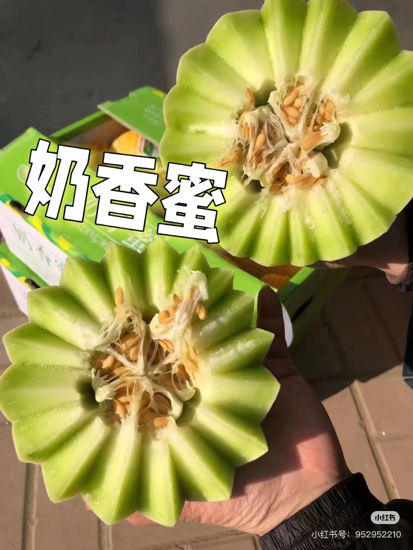 软口哈密瓜