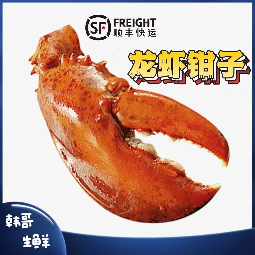 【韩哥生鲜】冷冻龙虾钳子顺丰冷链发货