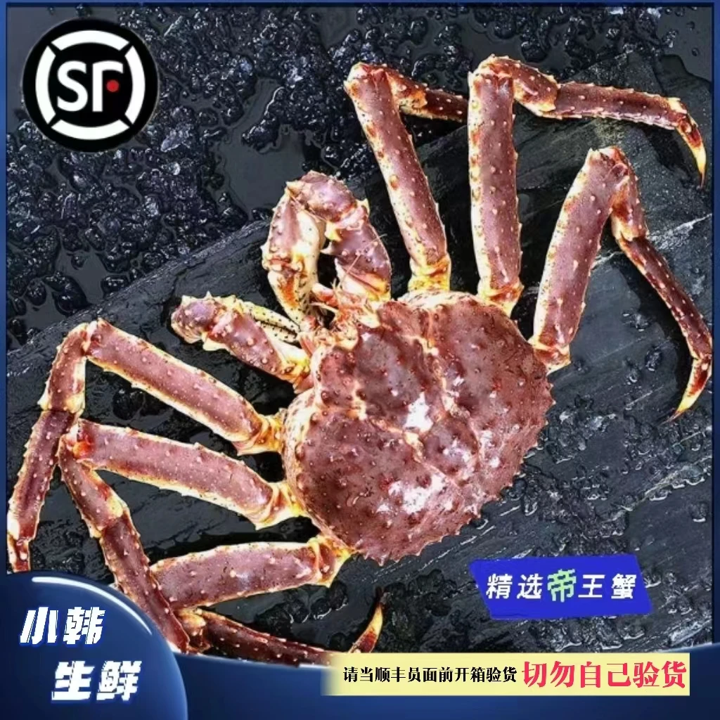 【韩哥生鲜】【直播间】鲜活海鲜俄罗斯帝王蟹现称现拍新鲜发货冷链