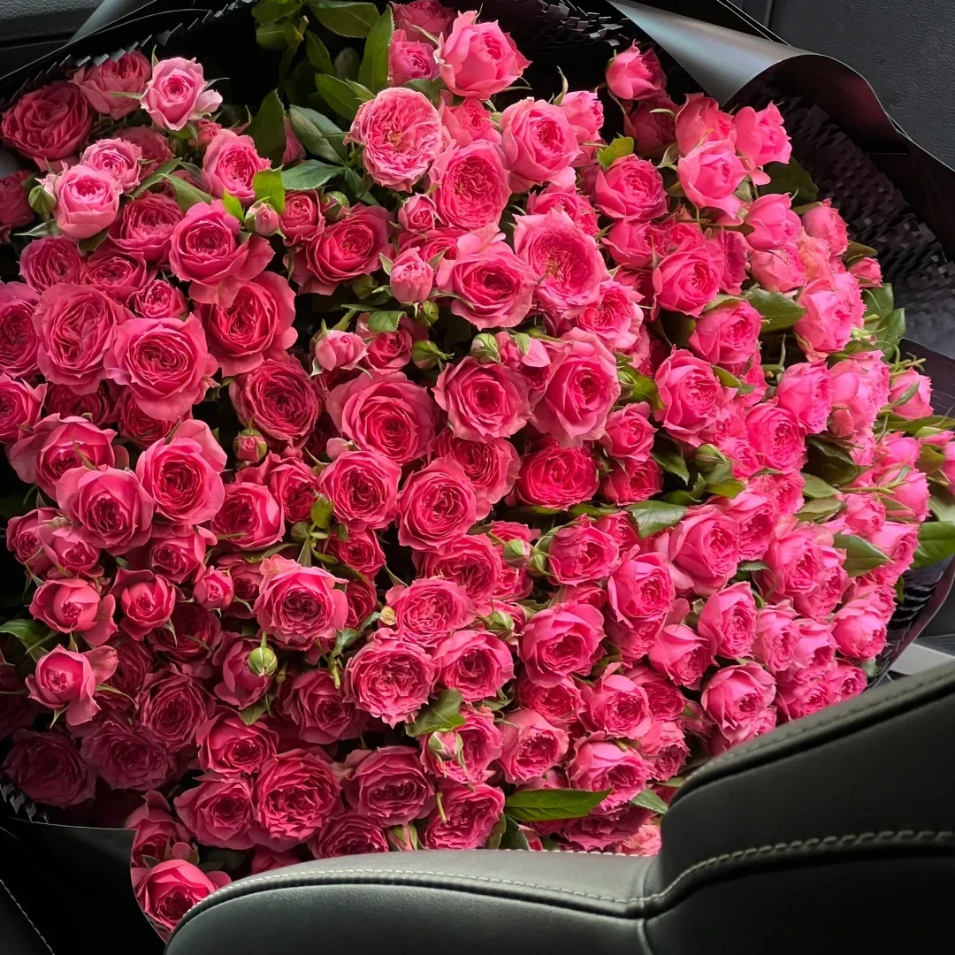 【苏菲宝贝&洛神】甜美桃红泡泡 北方多头玫瑰山东玫瑰京东顺丰包邮