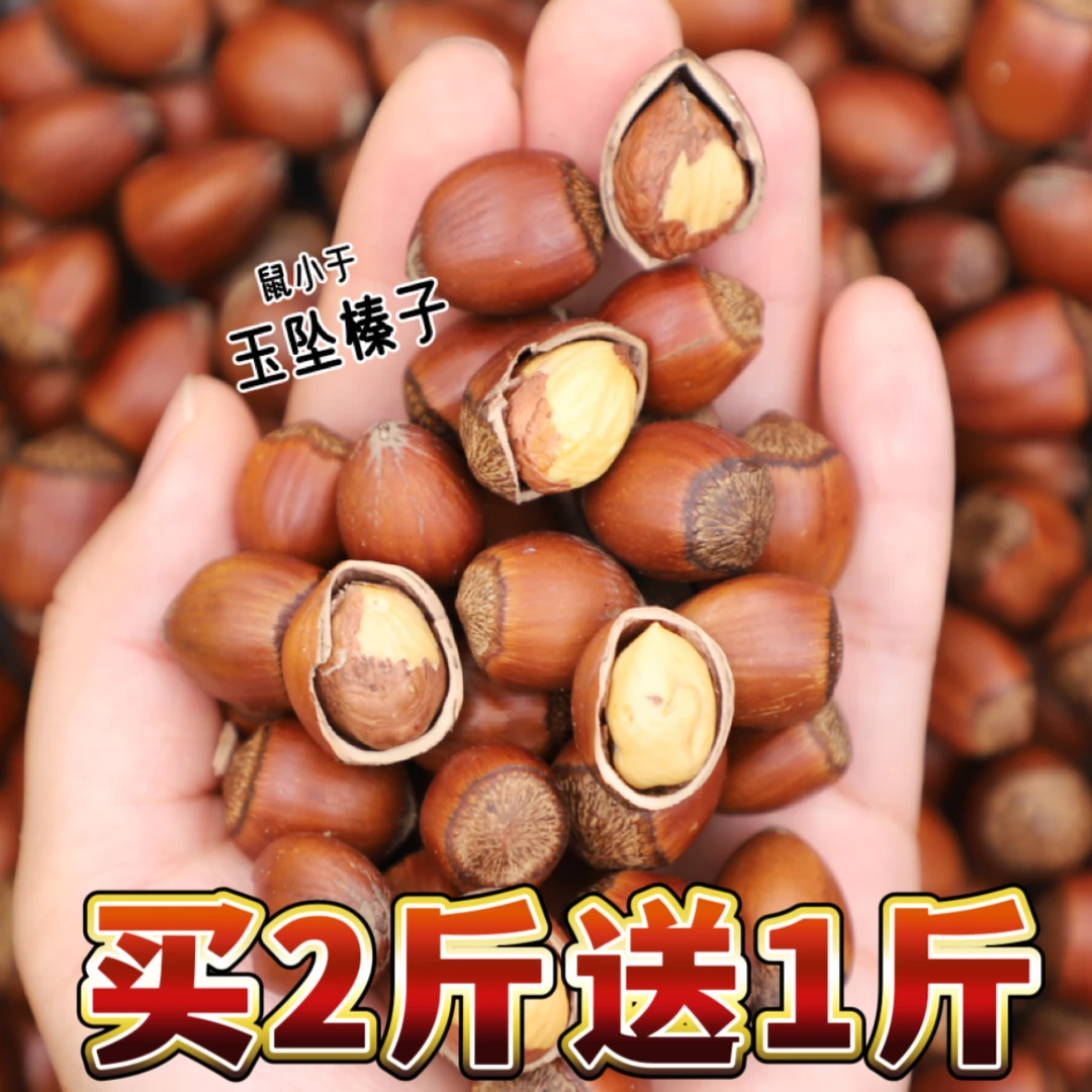 【雨姐推荐】东北特产玉坠大榛子3斤 送钳子