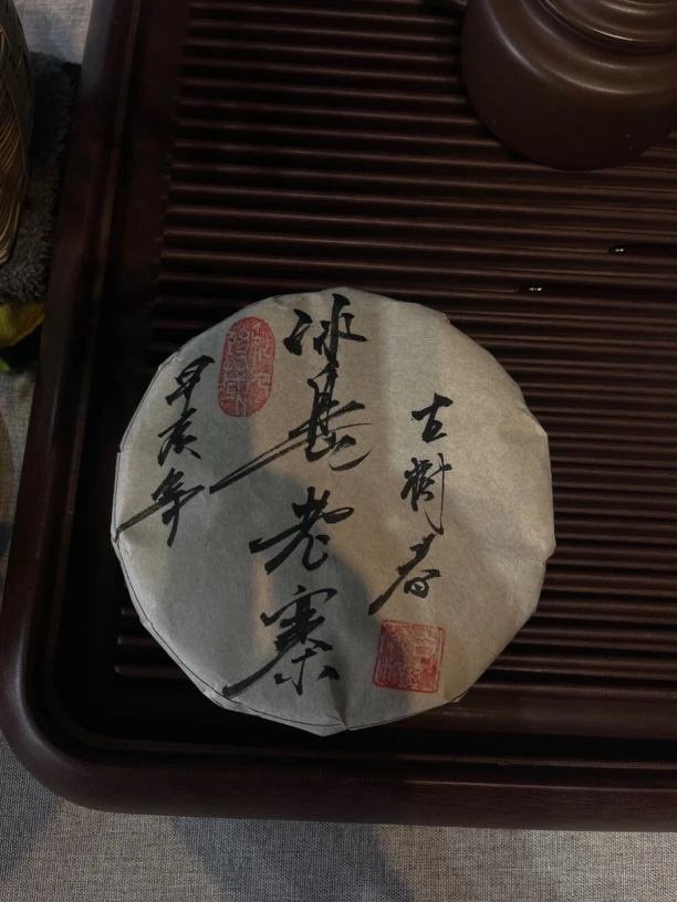 2024年.冰岛老寨古树 春