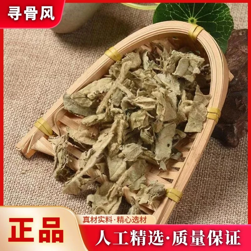 【寻骨风】精选优质清骨风猫耳朵白面风寻骨散装250g-500g非益母草