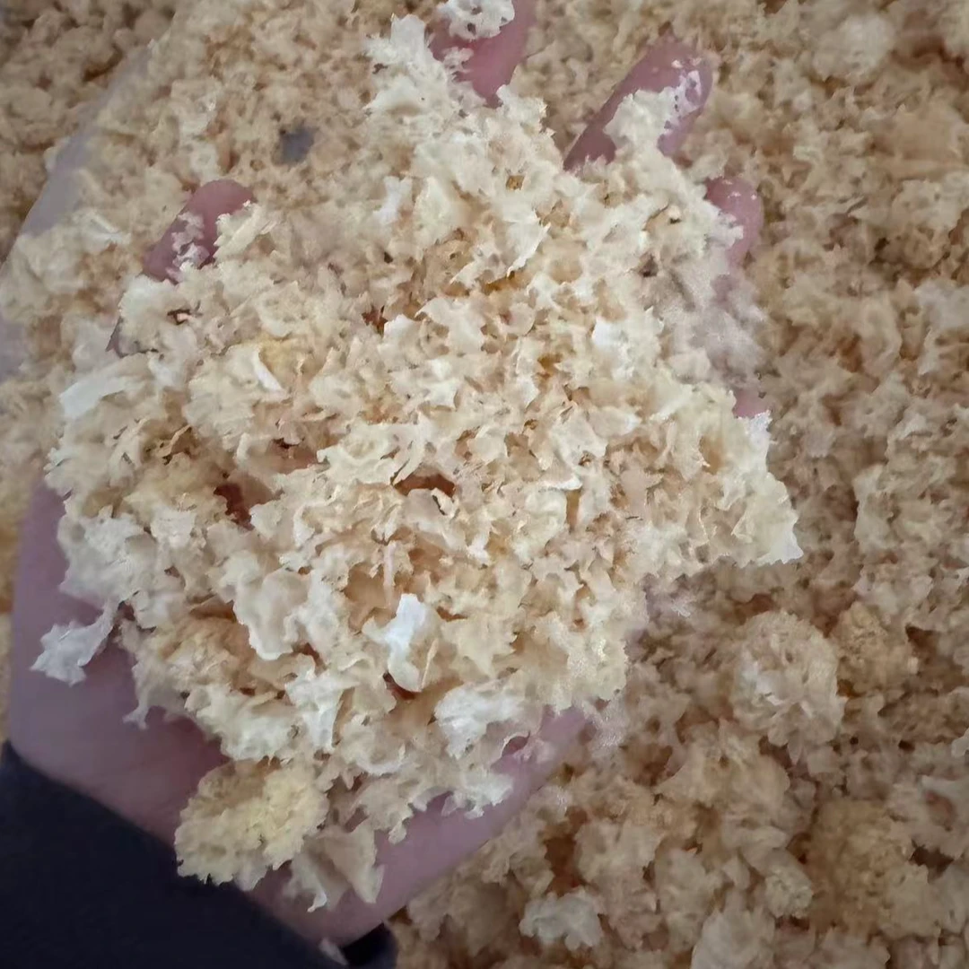 椴木小银耳碎 介意不要拍