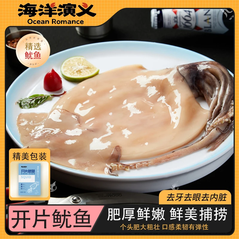 海洋演义 开片大鱿鱼 350g/包*8包
