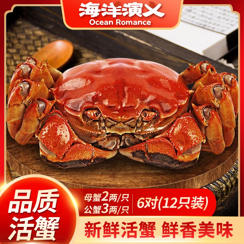 【活蟹】海洋演义 大闸蟹 母2两*6只+公3两*6只 6对12只装