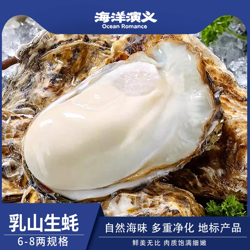 海洋演义 当季生蚝 (6-8两/个)牡蛎 新鲜个大饱满 滋补美味 5斤