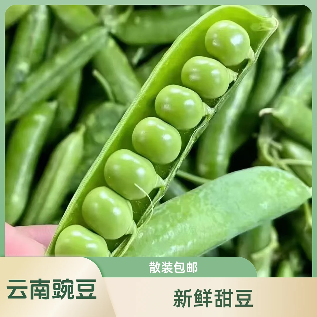 云南新鲜豌豆甜豌豆青皮豌豆带壳甜豆青豆荚3斤5斤包邮
