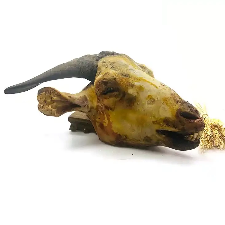 （羊头）白山羯羊羊头，人工烧毛，新鲜发货