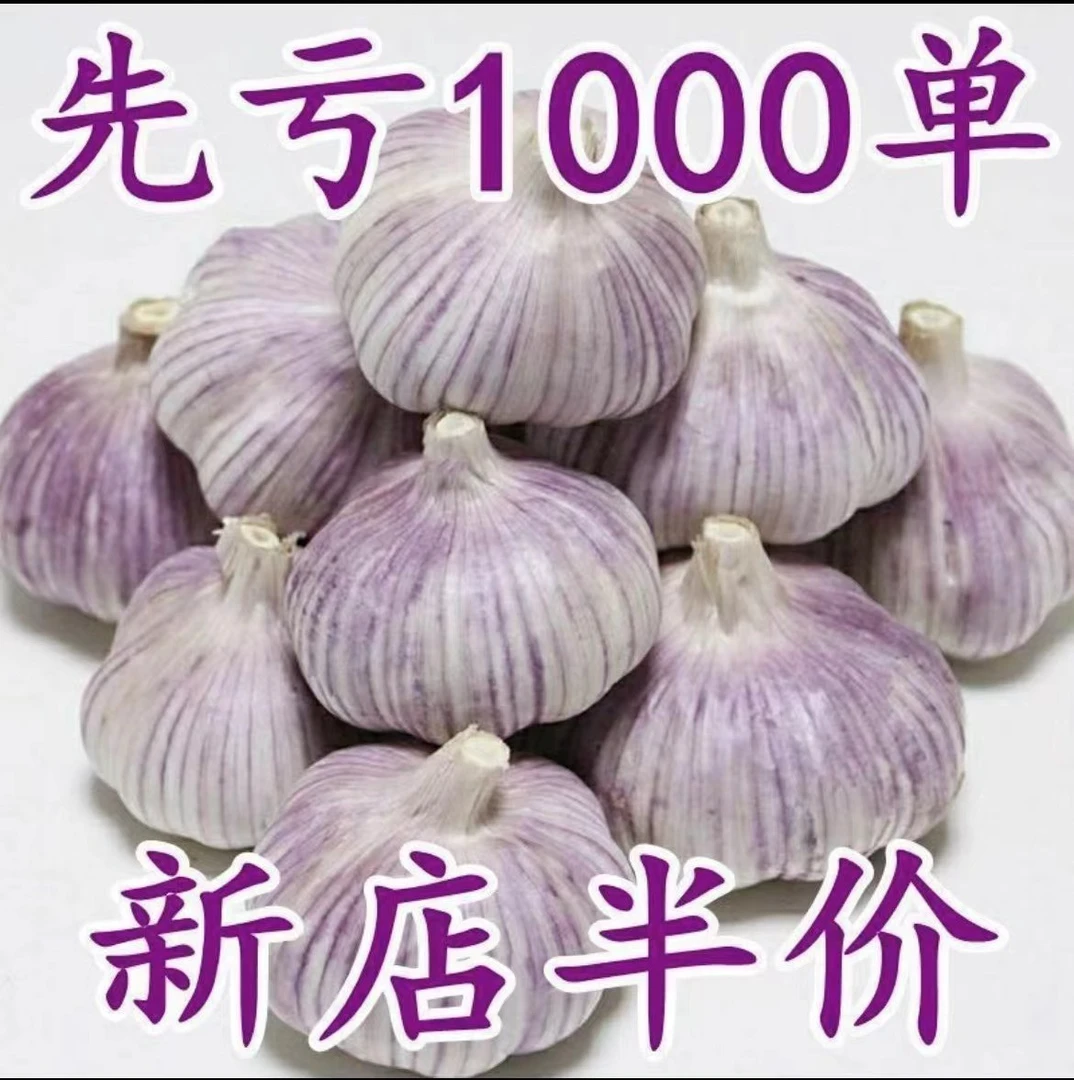 【超低价抢购】金乡紫皮大蒜大蒜头干蒜大蒜批发5斤金乡大蒜辣味