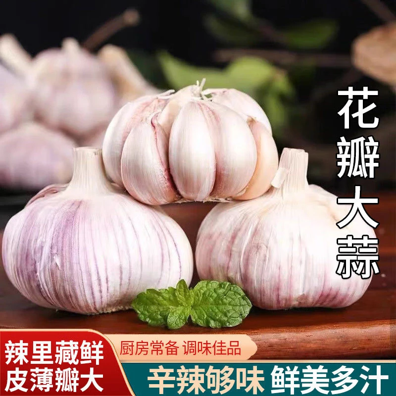 河南金杞白皮紫皮干蒜大蒜头农家自种红皮大蒜头优质包邮品质保证