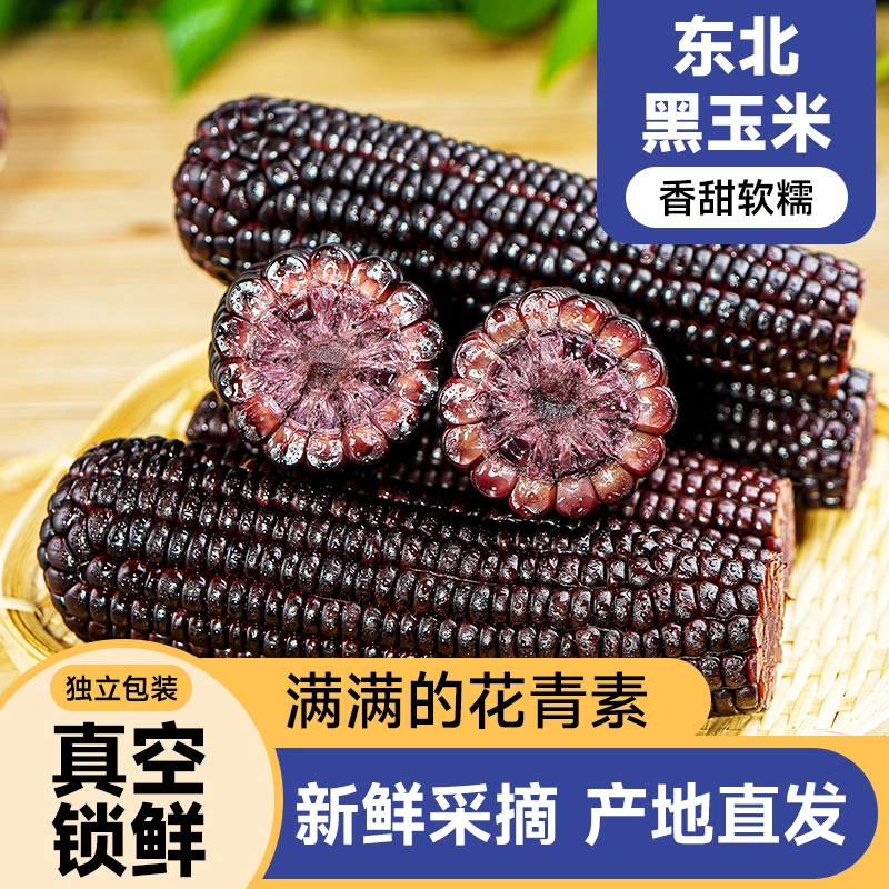 【买5根送5根】正宗东北黑糯玉米10根软糯香甜代餐粗粮铝箔包装