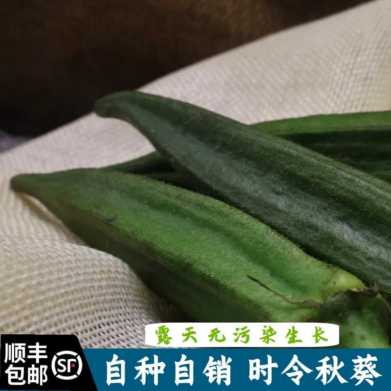 顺丰包邮农家自种蔬菜新鲜 秋葵新鲜现摘现发绿色露天生长