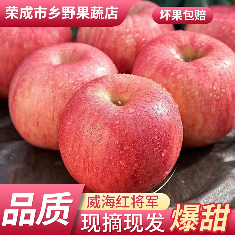 威海红将军苹果粉面甘甜当季新鲜糖心水果五斤整箱现摘产地直发