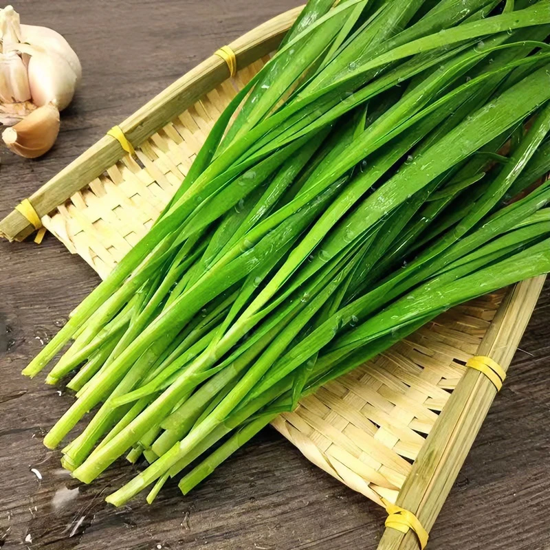 东北吉林农家新鲜食用韭菜每单三斤五斤顺丰包邮