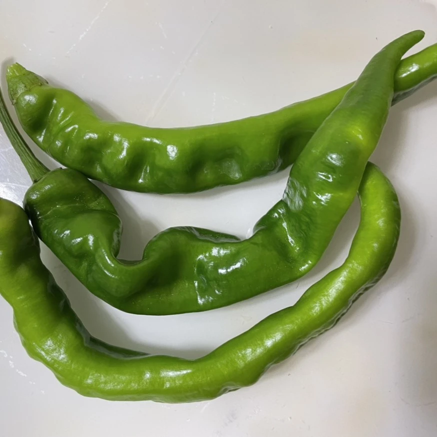 东北吉林农村辣椒优选农产品新鲜辣椒每单净重二斤顺丰包邮