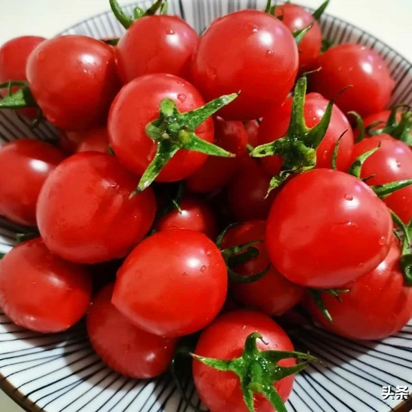 {一斤盒装}圣女果