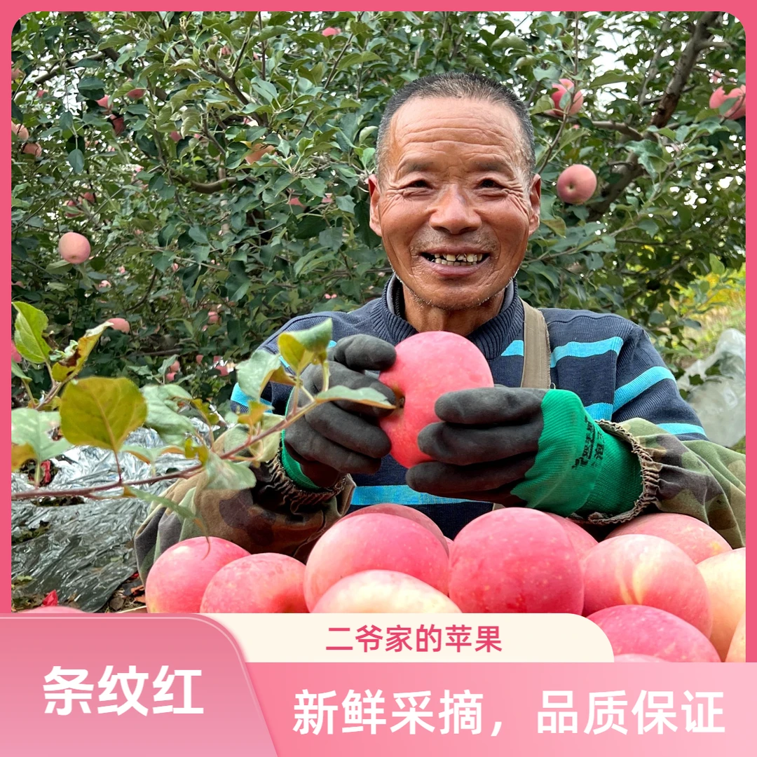 烟台苹果山东条纹红富士新鲜苹果香甜可口皮薄肉厚汁水丰富