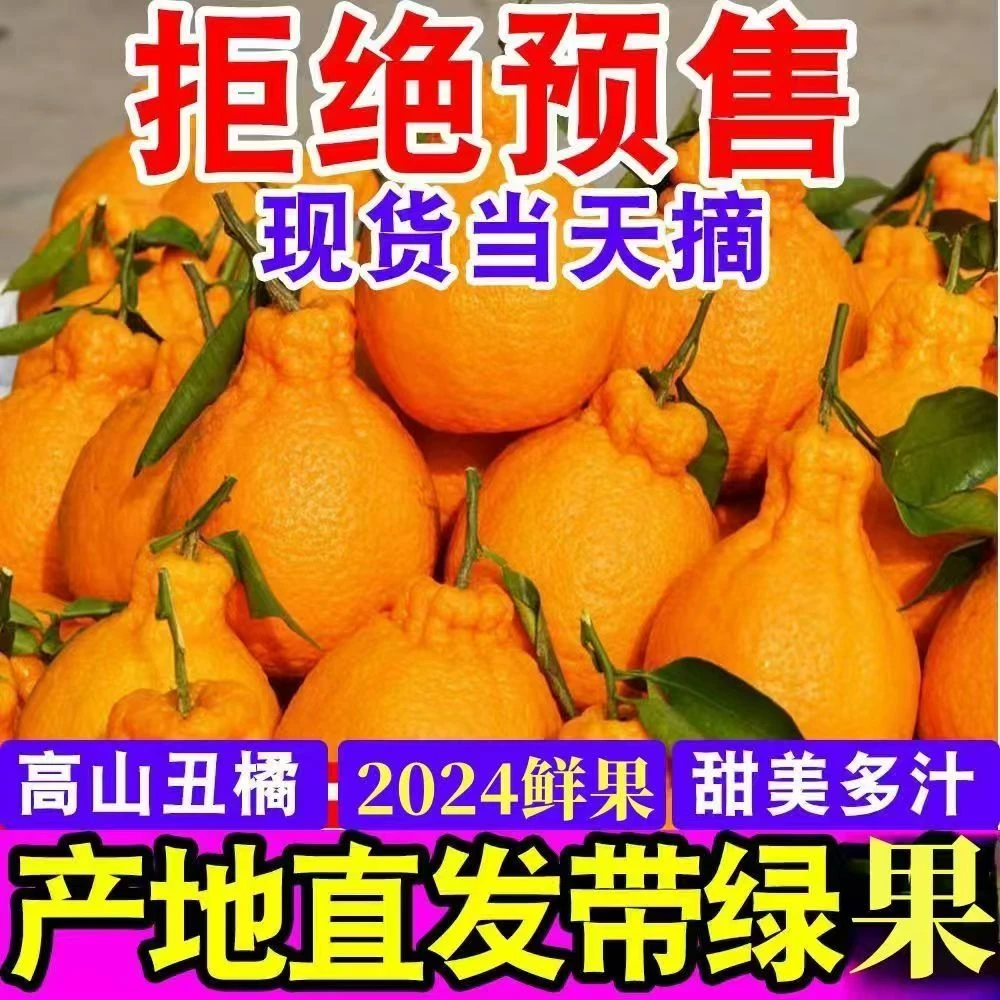 丑橘正宗当季不知火丑橘新鲜丑八怪橘子高山橘子新鲜水果桔子整箱
