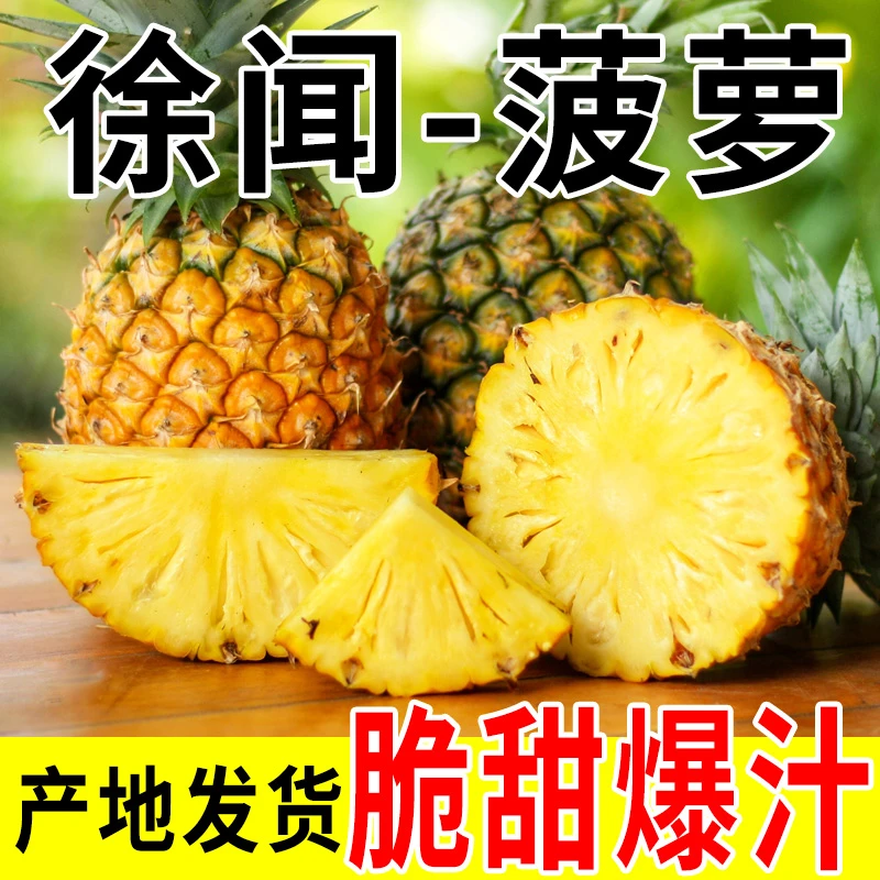 广东徐闻菠萝水果（2.5-3）斤装当季香水菠萝香脆美味
