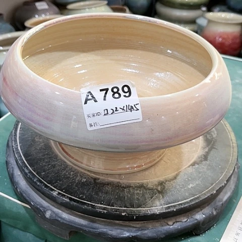 红陶20CM（含）-50CM（不含）