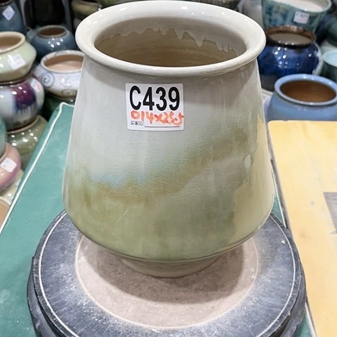 红陶20CM（含）-50CM（不含）妹*崽