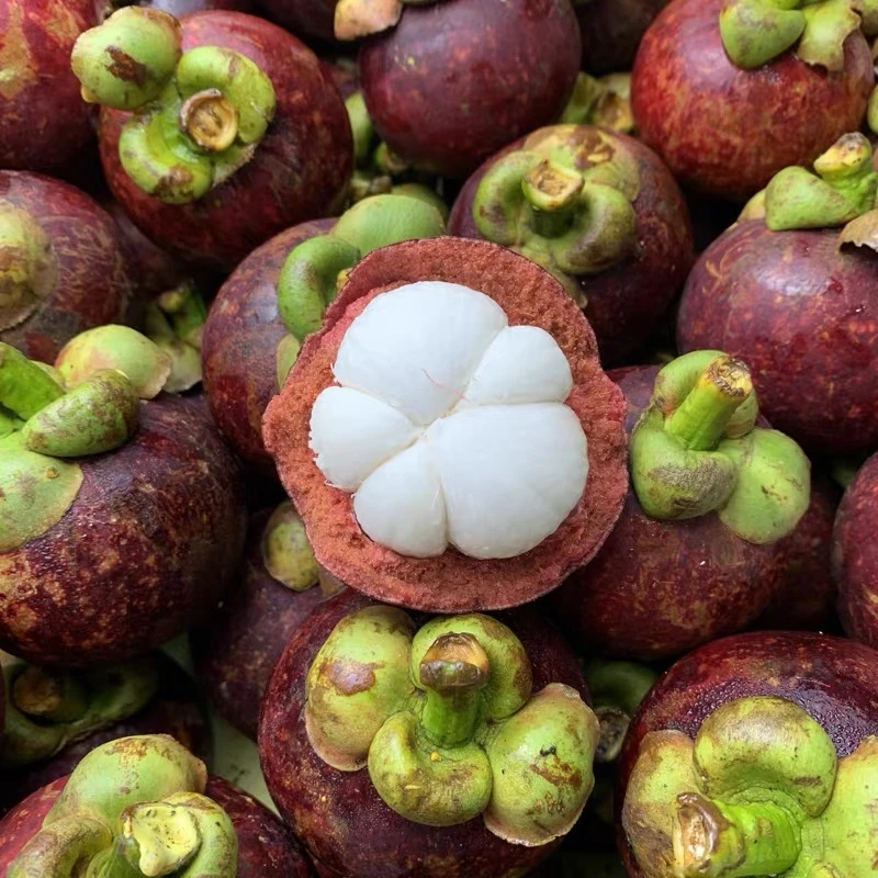 『泰国』新鲜4A麻竹山竹（甜蜜好吃）