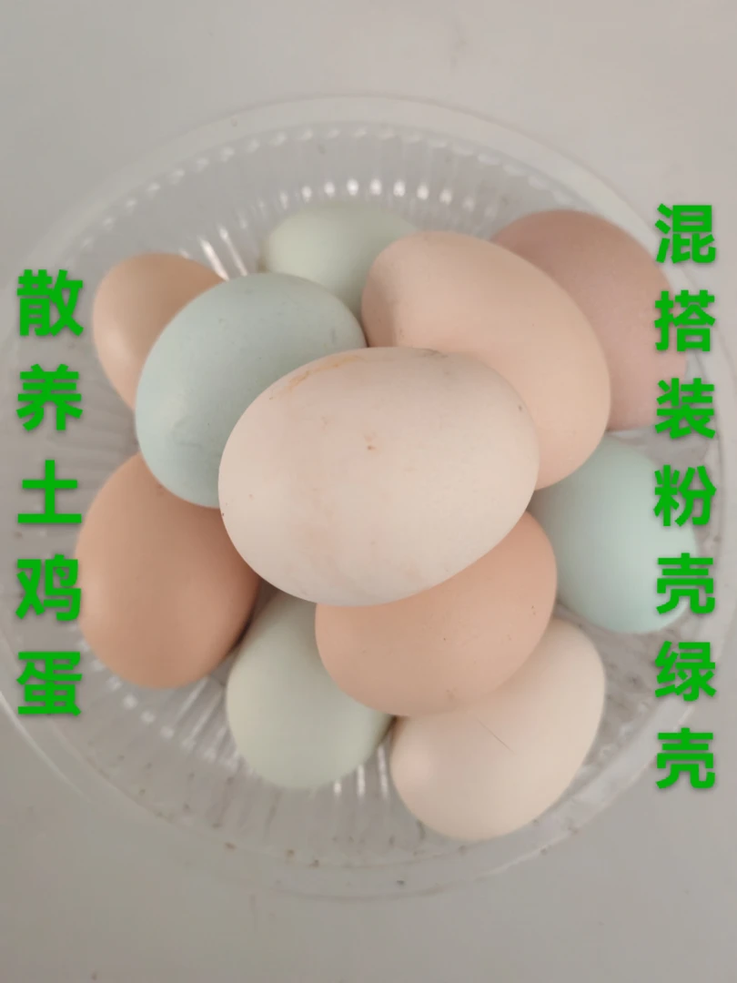 五十枚包邮到家破损包赔  正宗散养土鸡蛋粉壳绿壳混搭  新鲜营养