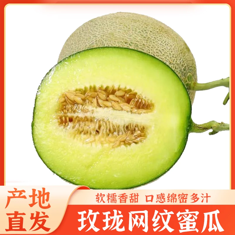 【顺丰快递】山东网纹瓜 冰淇淋甜瓜 软糯香甜多汁