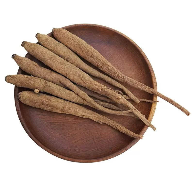 【藏 当归】山野好货 滋补食材  食用农产品