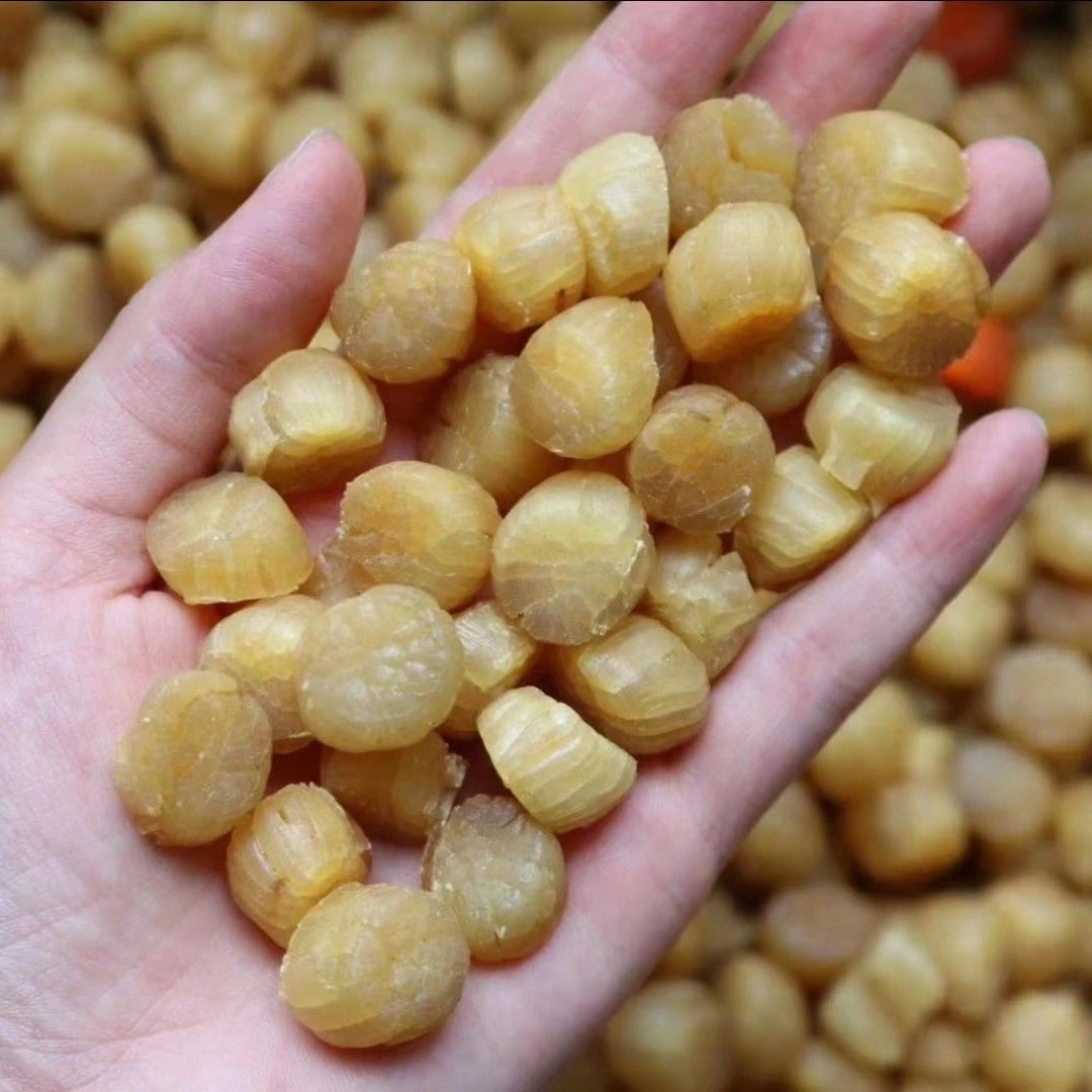 500头元贝海鲜干货扇贝干元贝足干煲汤煲粥250g至500g