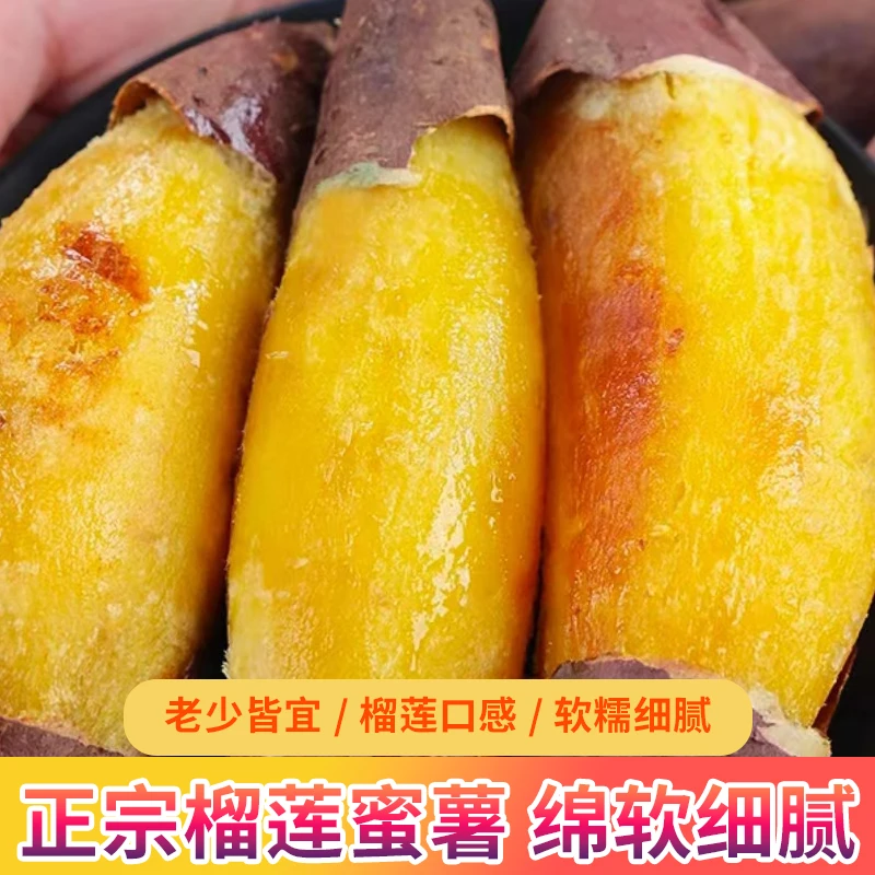 【小胖优选】云南高山榴莲蜜薯鸣门金时地瓜红薯软糯香甜