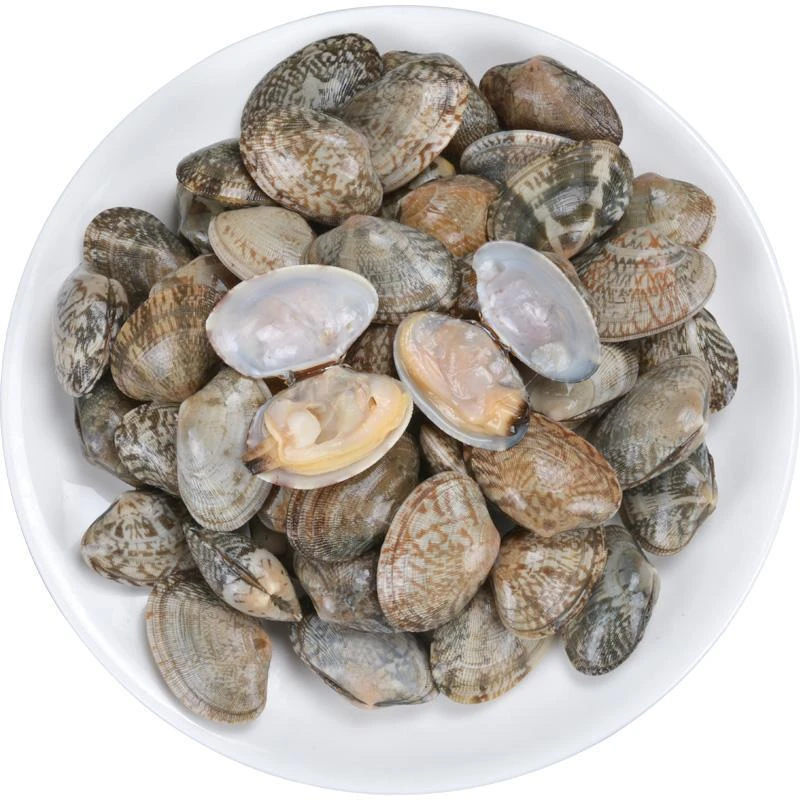 【西安方欣海鲜】 鲜活花甲3斤 同城一小时