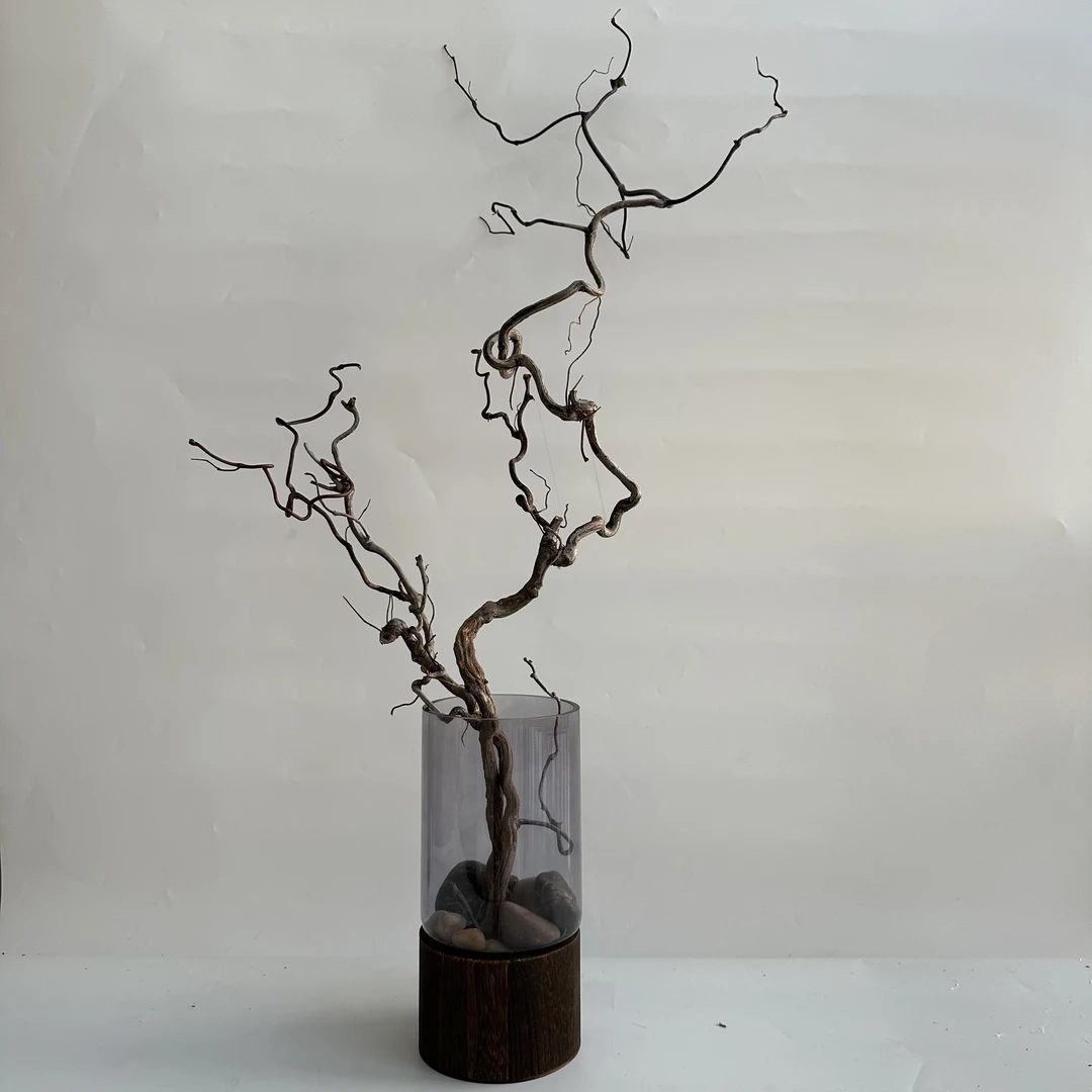 龙枣枝新中式天然树枝枯枝禅意摆件居家装饰客厅书房造景摆件