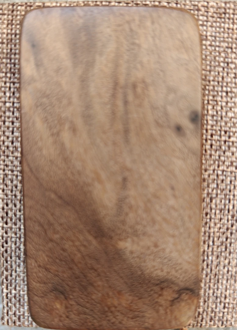 金丝楠木小叶桢楠